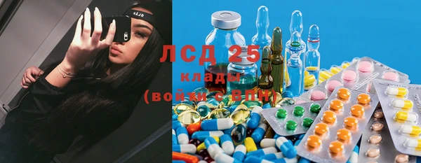 мяу мяу кристалл Арсеньев
